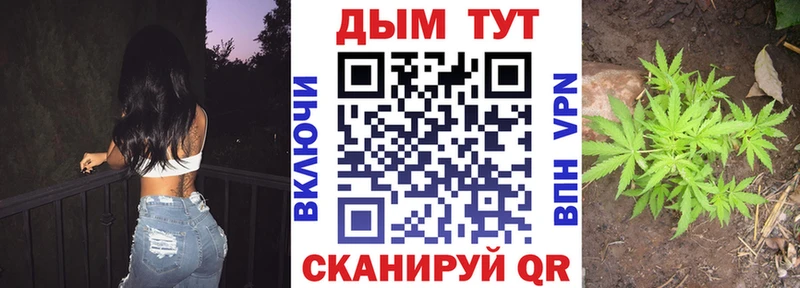 закладки  Суджа  Канабис семена 